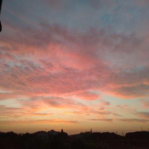 免费特美囯级黄片毛片
